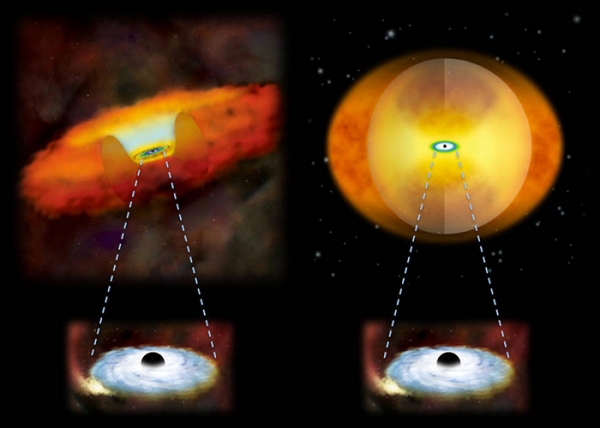 두 개의 은하에서 자란 두 블랙홀 .출처 : NASA/National Astronomical Observatory of Japan