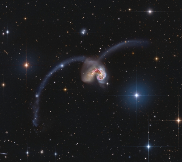 더듬이모양이당! 무얼 감지하는 중이지? 더듬. 더듬. Image Credit & Copyright: Data; Subaru, NAOJ, NASA/ESA/Hubble – Assembly and Processing; Roberto Colombari