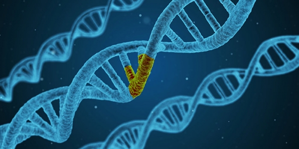 유전자 도핑, 어떻게 될까요? 출처: pixabay에서 수정<br>