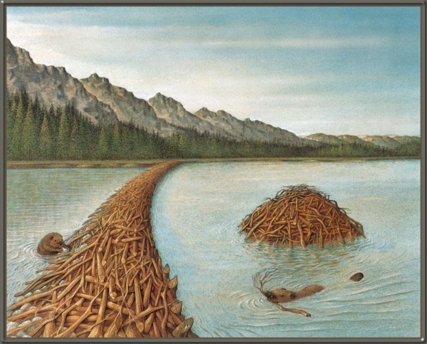 [Figure 2] 비버 댐의 그림              출처:www.animal.memozee.com