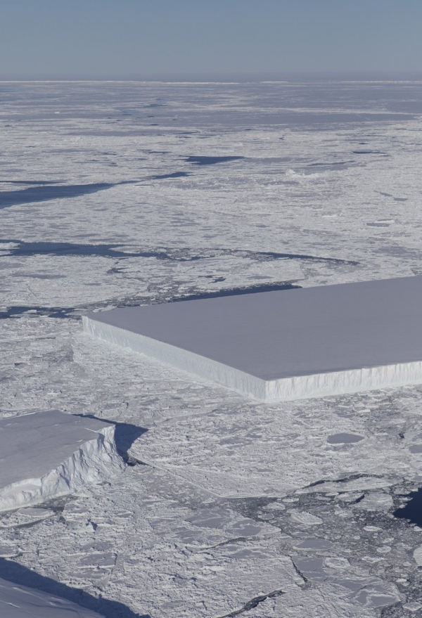 네모난 빙산. 출처: 트위터/NASA ICE
