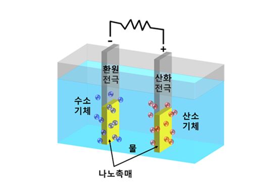 수전해 반응에 대한 모식도. 출처: 한국기초과학지원연구원