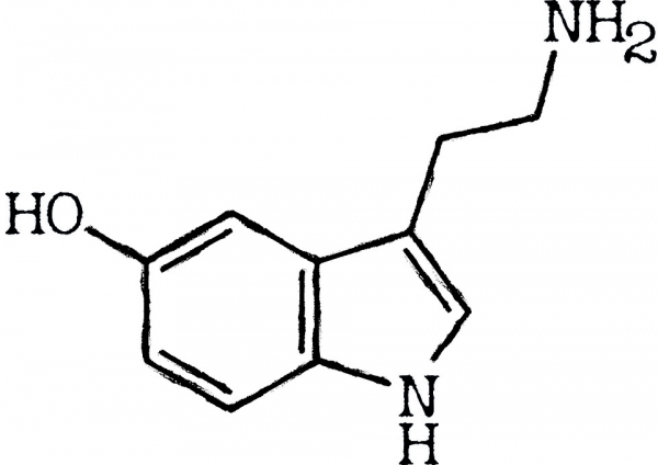 세로토닌 분자. 출처: pixabay