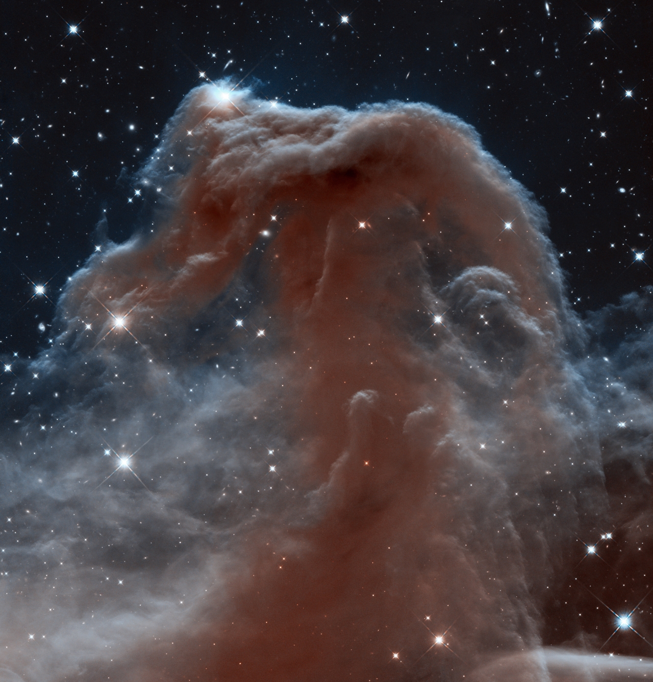 허블이 찍은 오리온자리 근처에 있는 말머리 성운. 출처: NASA, ESA, and the Hubble Heritage Team (AURA/STScI)