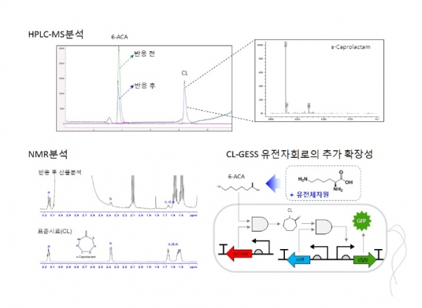 연구진이 개발한 유전자 회로의 활용방안. 출처: 한국생명공학연구원