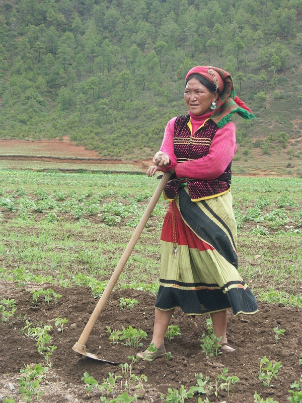 모계사회인 모수오족은 여성이 가정의 대소사를 결정합니다. 출처:wikimedia commons
