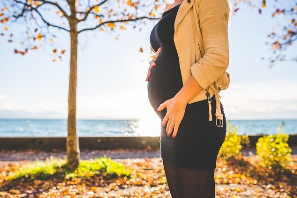 임신으로 배가 부른 여성이 앞으로 넘어지지 않는 이유는 요추의 모양 때문입니다. 출처:pixabay