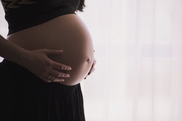 임신 중 지카 바이러스에 감염될 경우 소두증 신생아를 출산할 확률이 높아집니다. 출처: pixabay
