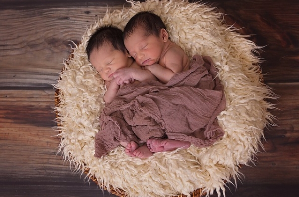귀여운 쌍둥이 애기들. 출처:pixabay<br>