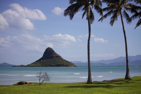 하와이도 열점기원. 출처: pixabay