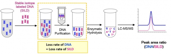 DNA 정량분석 기술 모식도. 출처: 한국표준과학연구원