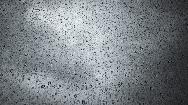 심한 환공포증을 가지면 창에 달라붙은 물방울들도 싫어한다고 한다. 출처: pixabay