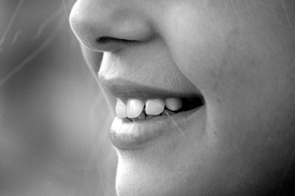 복합치아종은 일반 치아와 유사한 구조를 갖는다. 출처: pixabay