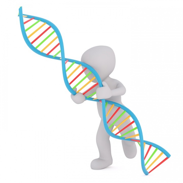 범죄의 유전자를 찾는 연구진이 있다? 출처: pixabay