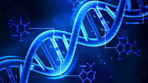 DNA 구조. 출처: Pixabay
