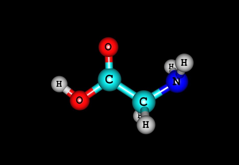 일반적인 글리신(Glycine) 분자구조. 출처: AdobeStock