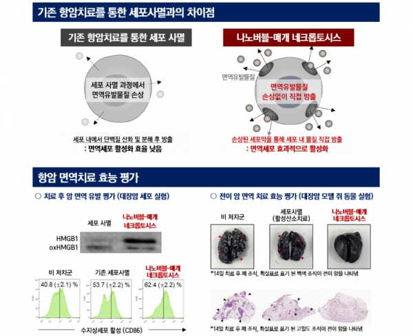 나노버블-매개 네크롭토시스와 기존 항암치료를 통한 세포사멸과의 차이. 출처: 한국연구재단