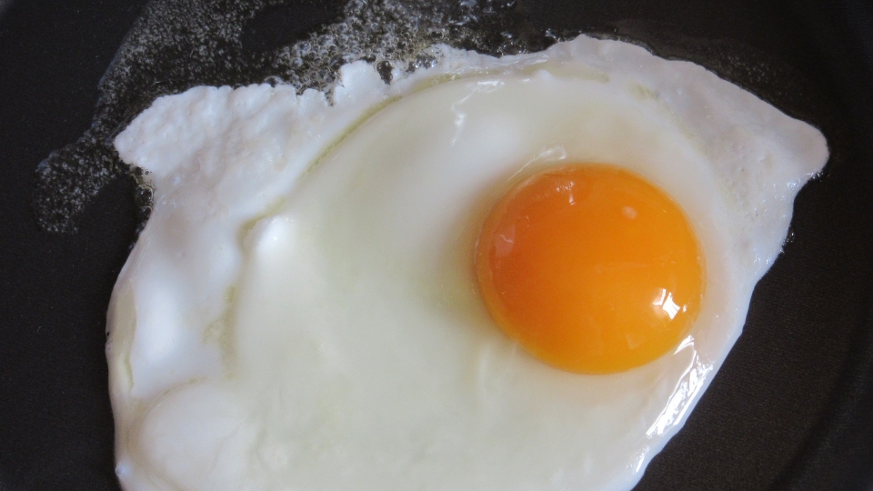 달걀을 요리할 때 굳어진 달걀의 흰자도 변성 단백질! 출처: Pixabay