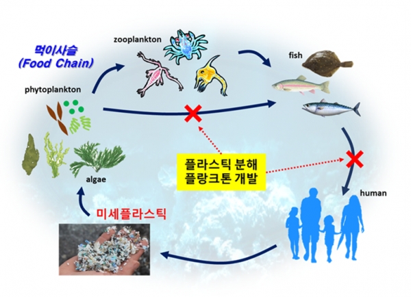 플라스틱 분해 플랑크톤 개발 기술 활용 모식도. 출처: 한국생명공학연구원