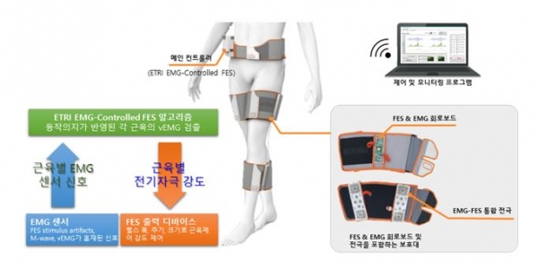 사용자 동작의도 감지로 자연스러운 개별 근육제어가 가능한 기능적전기자극(FES)기반 착용형 보행보조 시스템. 출처: ETRI