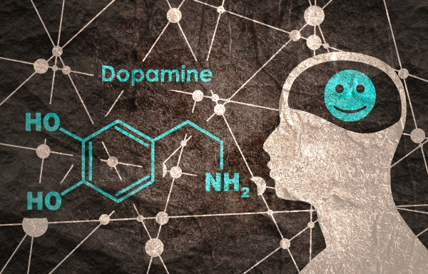 도파민 분비 증가를 모방하는 약물, 위험해요. 출처: AdobeStock