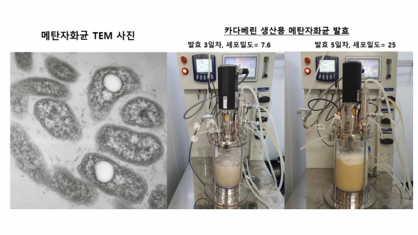 메탄자화균 TEM 이미지 및 메탄자화균의 가스 발효 공정. 출처: 한국연구재단