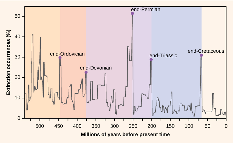 지질시대 동안 5번의 대멸종 시기. 출처: Wikimedia Commons
