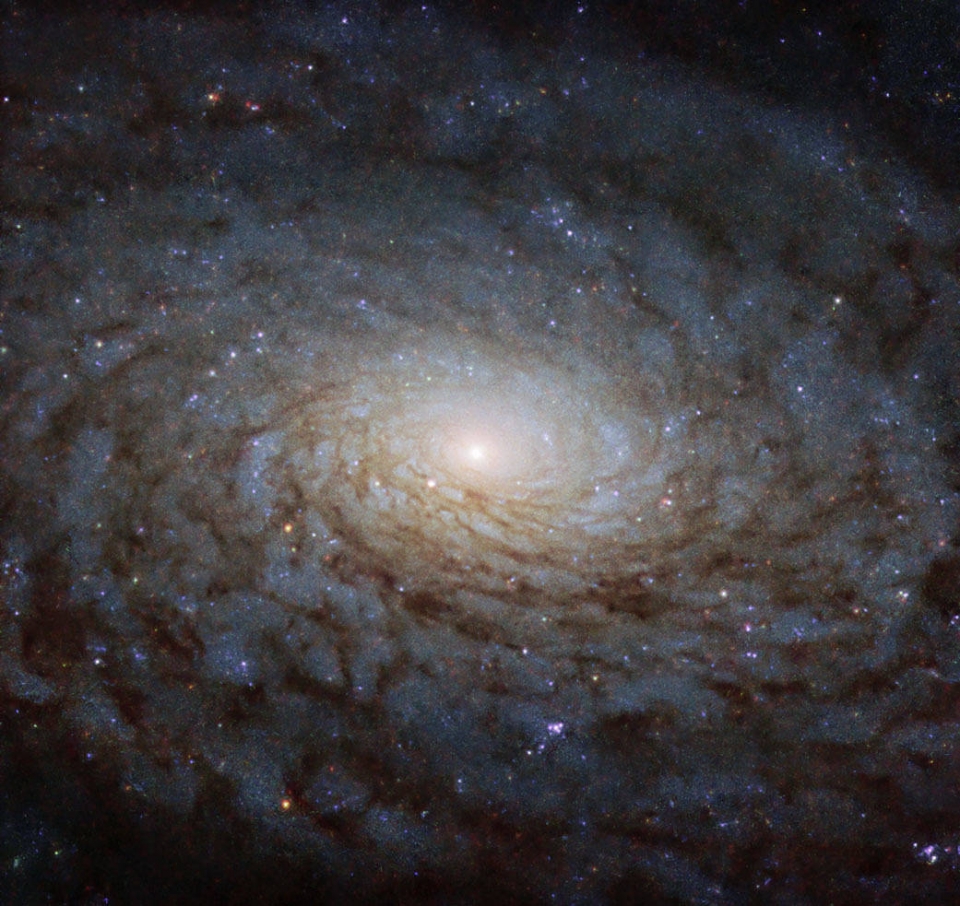 허블망원경으로 본 은하 NGC 4380. 출처: ESA/Hubble & NASA, P. Erwin