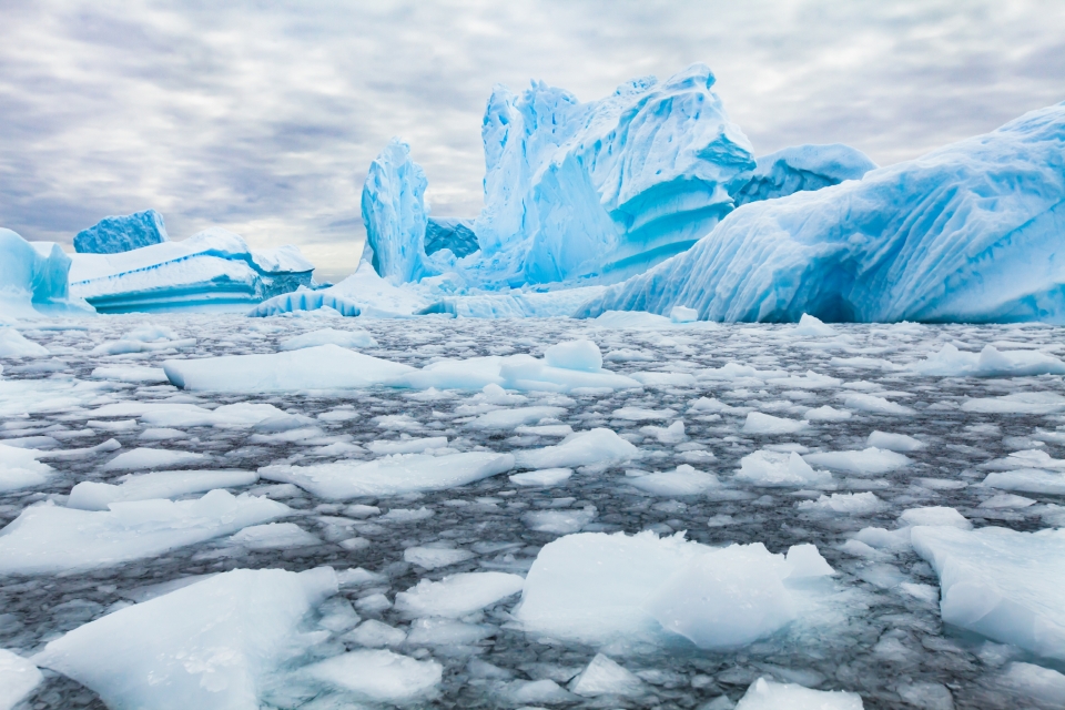 해빙(Sea ice)은 지구의 기후변화를 보여주는 중요한 지표이다. 출처: AdobeStock