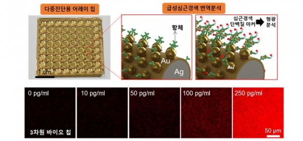 초고감도 급성심근경색 진단용 바이오 칩 사진 및 면역분석 결과. 출처: 한국재료연구소