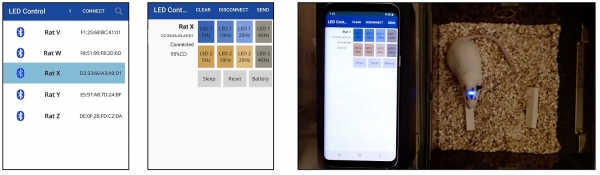 무선 제어용 스마트폰 앱. (좌) 연결 가능한 디바이스 선택 화면. (중) 배터리 잔량 확인 및 마이크로 LED 제어 화면. (우) 스마트폰 앱을 이용한 완전이식된 디바이스의 마이크로 LED 제어. 출처: KAIST