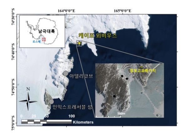 남극 로스해 케이프 뫼비우스 (Cape Mobius) 지도. 아델리펭귄에게 공격받은 남극도둑갈매기 둥지 (검정색 점)와 아델리펭귄 번식지 (회색 점)