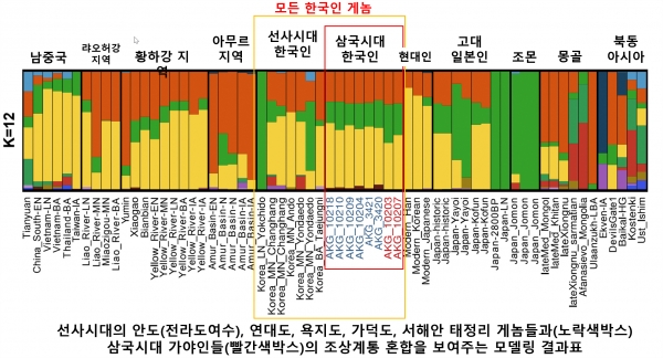 삼국시대 한국인과 선사시대, 현대 아시아인의 유전적 구성 비교한 유전적 혼합비율 그래프.  X 축의 파란색과 빨간색의 이름들이 8명의 삼국시대 게놈들이다. 이들 삼국시대 가야인들에겐 지금의 중국인, 일본인, 한국인보다, 일본계 조몬인의 유전적 요소(녹색계열)가 상대적으로 더 많다. 조몬계로 불리는 선사시대 종족이 한반도에도 있었다고 이해할 수 있다. 출처 : UNIST