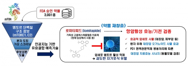 약물 가상 스크리닝 기술을 이용한 로미타피드 항암효능 개발