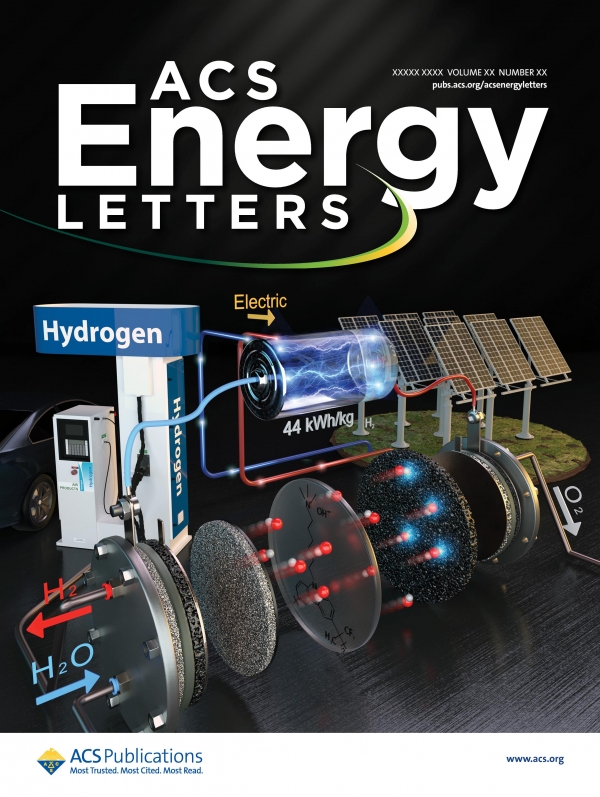 ACS Energy Letters에 게재된 표지 사진