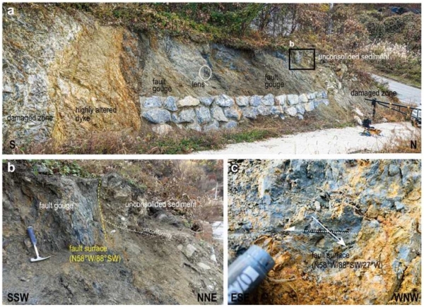 조곡단층대 내부구조 및 미고결 퇴적층 변위 노두 전경. 출처 : 한국지질자원연구원