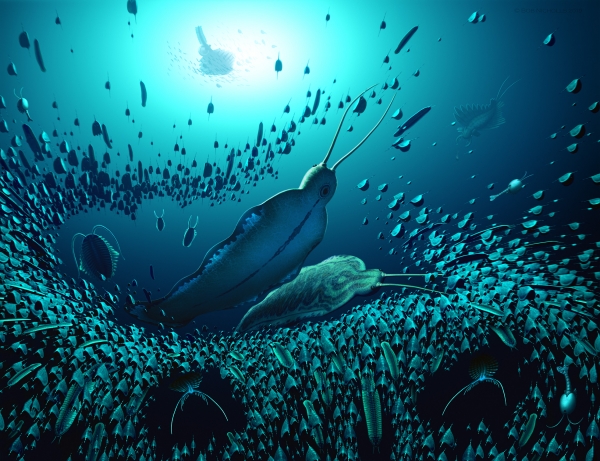 캄브리아기의 시리우스 파셋 해양생태계 재구성도. 거대한 원시 화살벌레 티모레베스티아가 다른 해양 절지동물 무리를 사냥하고 있는 재구성도. © Robert Nicholls